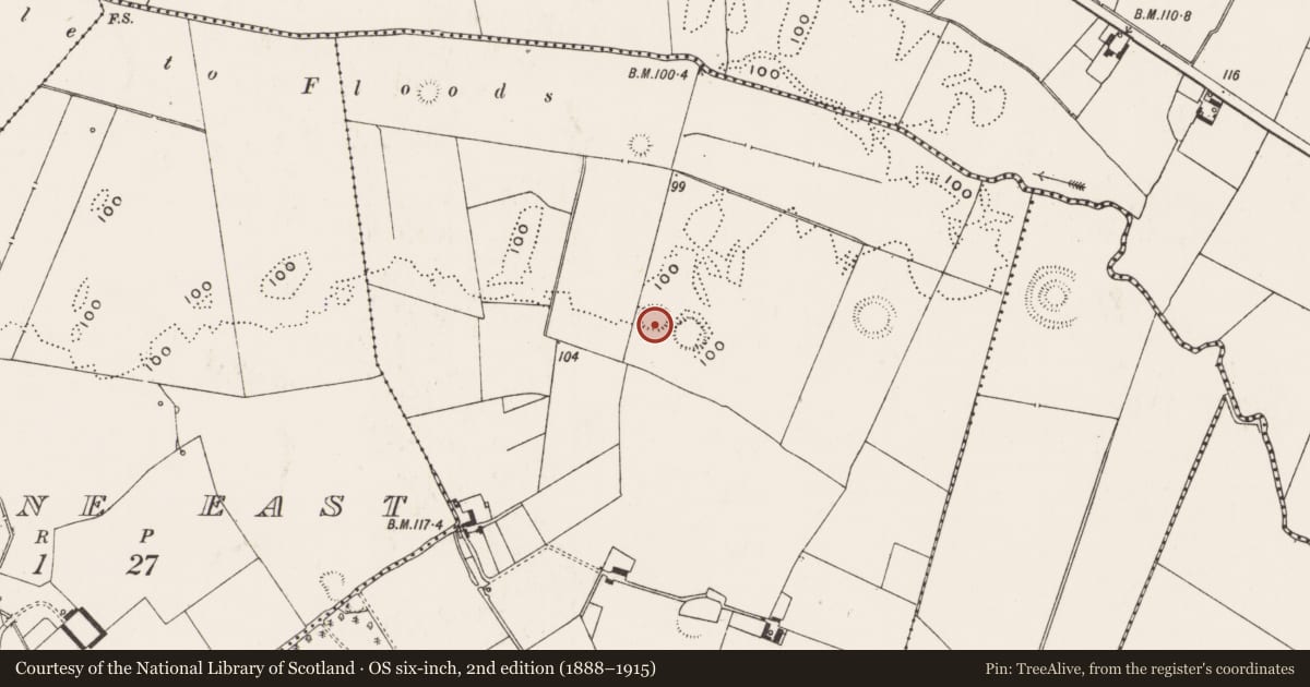 Ordnance Survey six-inch map, 2nd edition (1888–1915) covering the location of Ringfort - rath, Highpark, County Limerick, with a pin at the register's coordinates