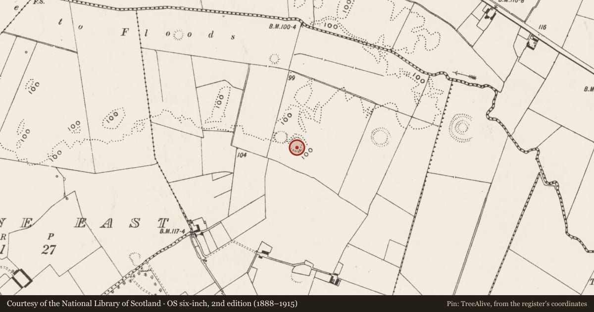 Ordnance Survey six-inch map, 2nd edition (1888–1915) covering the location of Ringfort - rath, Highpark, County Limerick, with a pin at the register's coordinates
