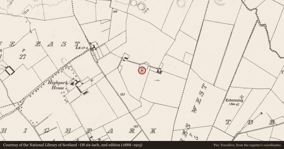 Ordnance Survey six-inch map, 2nd edition (1888–1915) covering the location of Ringfort - rath, Highpark, County Limerick, with a pin at the register's coordinates