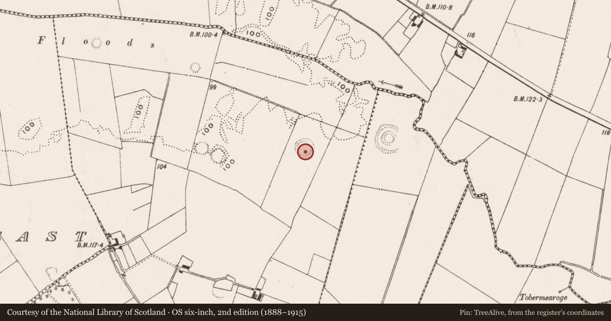 Ordnance Survey six-inch map, 2nd edition (1888–1915) covering the location of Ringfort - rath, Highpark, County Limerick, with a pin at the register's coordinates
