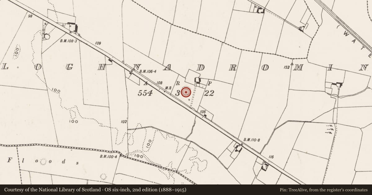 Ordnance Survey six-inch map, 2nd edition (1888–1915) covering the location of Ringfort - rath, Cloghnadromin, County Limerick, with a pin at the register's coordinates