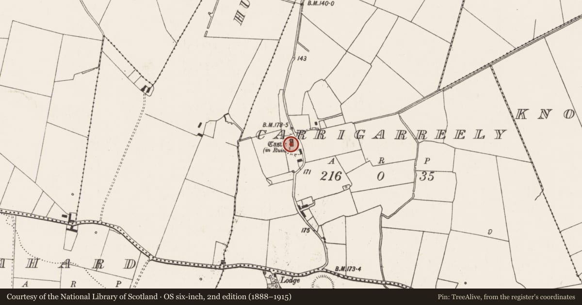 Ordnance Survey six-inch map, 2nd edition (1888–1915) covering the location of Castle - tower house, Carrigarreely, County Limerick, with a pin at the register's coordinates