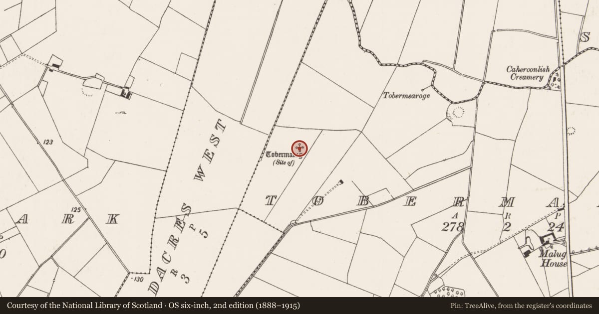 Ordnance Survey six-inch map, 2nd edition (1888–1915) covering the location of Ritual site - holy well, Tobermalug, County Limerick, with a pin at the register's coordinates