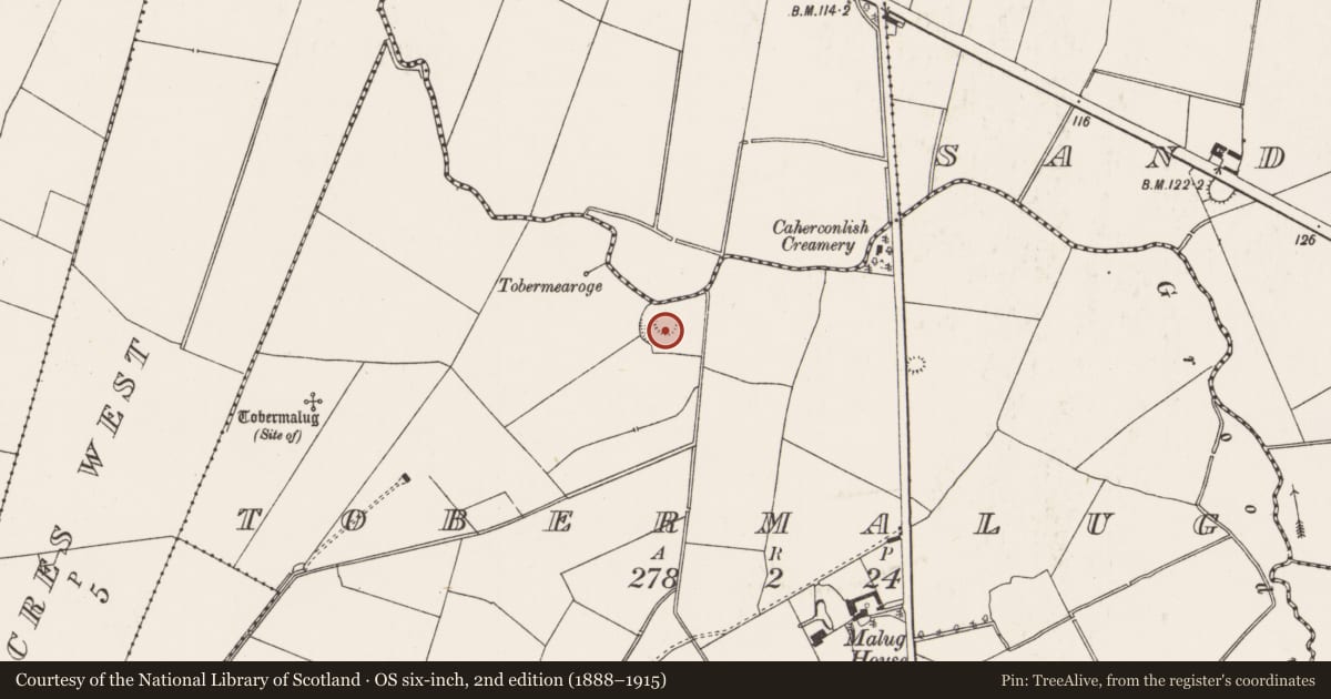 Ordnance Survey six-inch map, 2nd edition (1888–1915) covering the location of Ringfort - rath, Tobermalug, County Limerick, with a pin at the register's coordinates