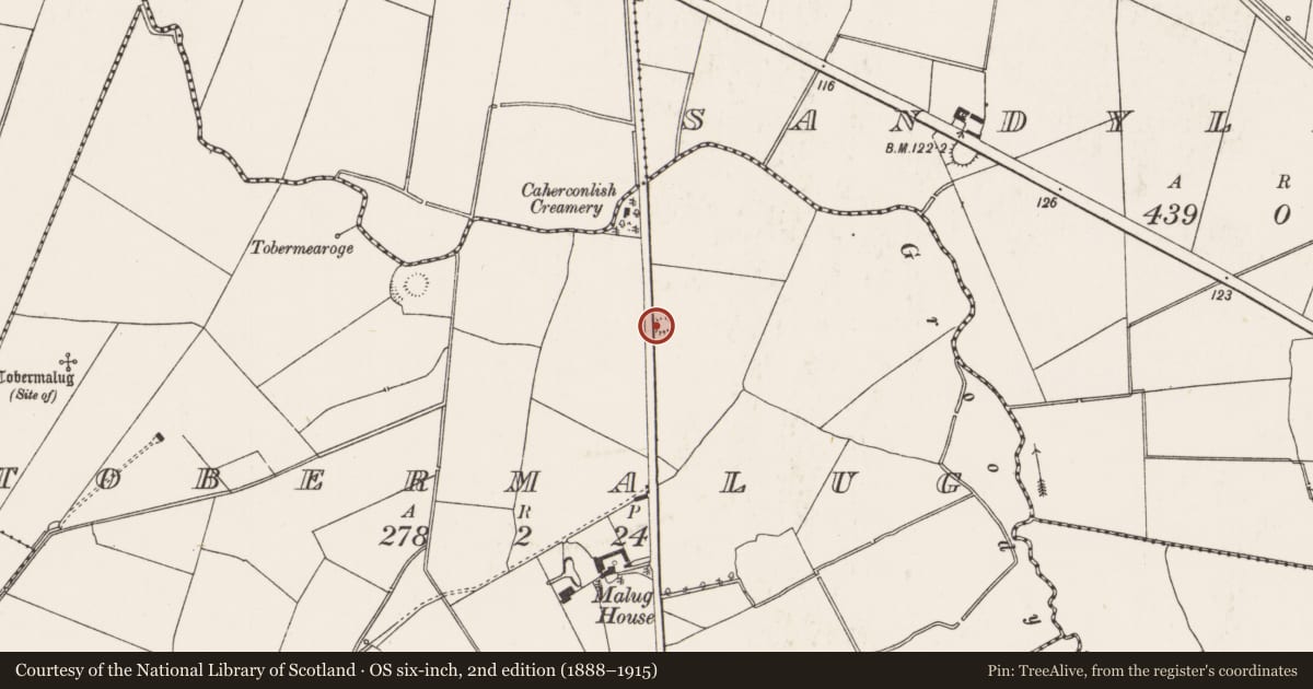 Ordnance Survey six-inch map, 2nd edition (1888–1915) covering the location of Ringfort - rath, Tobermalug, County Limerick, with a pin at the register's coordinates