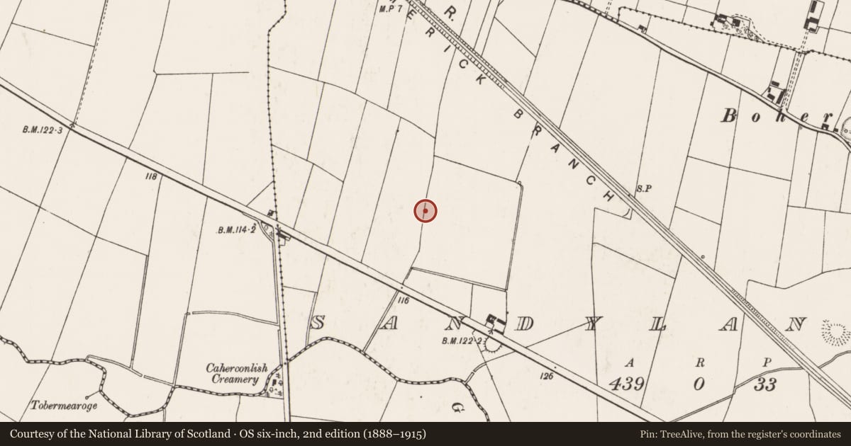 Ordnance Survey six-inch map, 2nd edition (1888–1915) covering the location of Ringfort - rath, Sandylane, County Limerick, with a pin at the register's coordinates