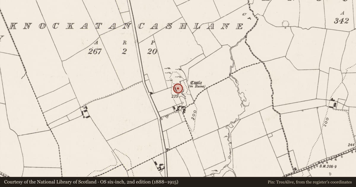 Ordnance Survey six-inch map, 2nd edition (1888–1915) covering the location of Castle - unclassified, Knockatancashlane, County Limerick, with a pin at the register's coordinates