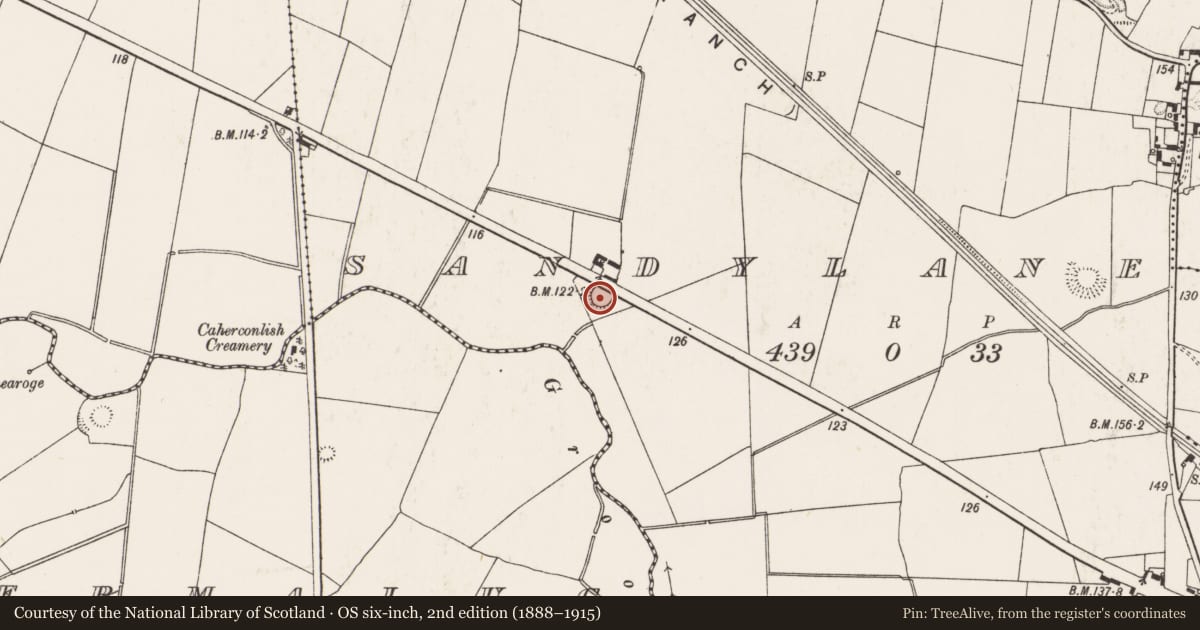 Ordnance Survey six-inch map, 2nd edition (1888–1915) covering the location of Enclosure, Sandylane, County Limerick, with a pin at the register's coordinates