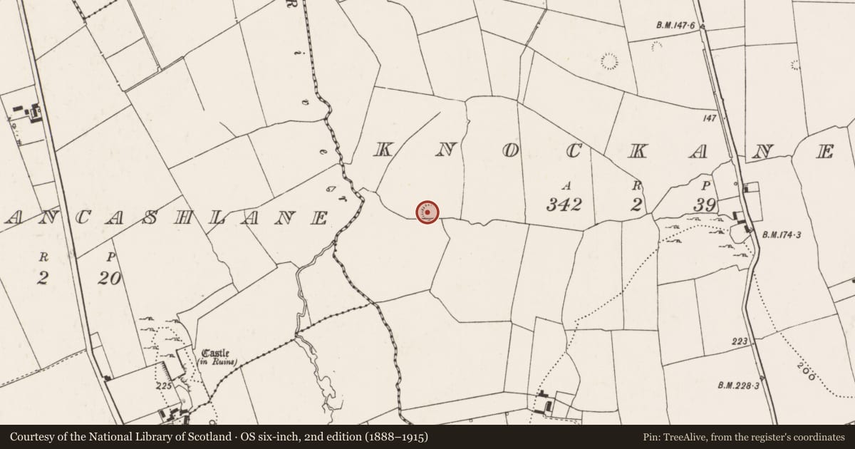 Ordnance Survey six-inch map, 2nd edition (1888–1915) covering the location of Ringfort - rath, Knockanea, County Limerick, with a pin at the register's coordinates