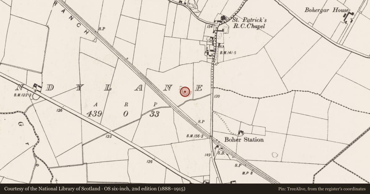 Ordnance Survey six-inch map, 2nd edition (1888–1915) covering the location of Ringfort - rath, Sandylane, County Limerick, with a pin at the register's coordinates