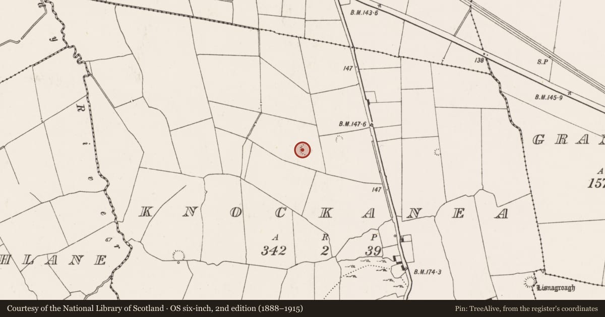 Ordnance Survey six-inch map, 2nd edition (1888–1915) covering the location of Ringfort - rath, Knockanea, County Limerick, with a pin at the register's coordinates