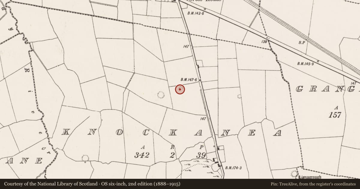 Ordnance Survey six-inch map, 2nd edition (1888–1915) covering the location of Ringfort - rath, Knockanea, County Limerick, with a pin at the register's coordinates