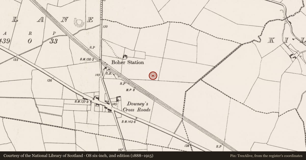 Ordnance Survey six-inch map, 2nd edition (1888–1915) covering the location of Ringfort - rath, Sandylane, County Limerick, with a pin at the register's coordinates
