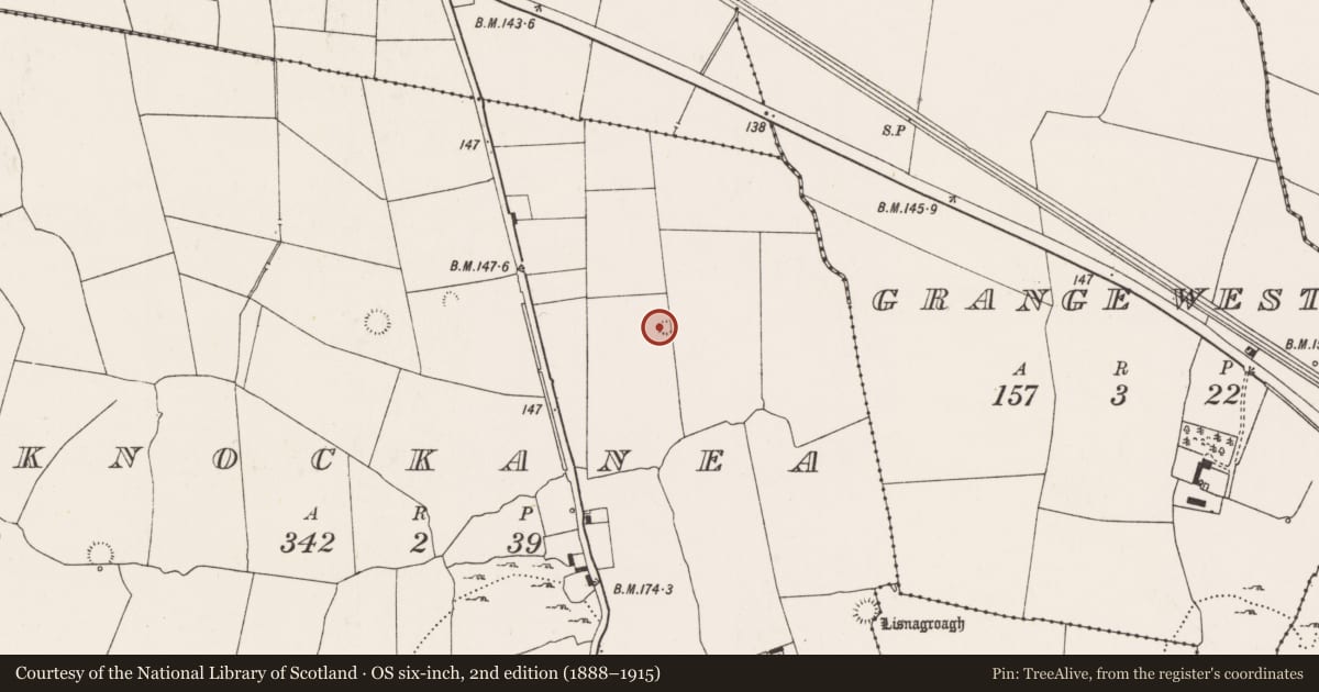 Ordnance Survey six-inch map, 2nd edition (1888–1915) covering the location of Ringfort - rath, Knockanea, County Limerick, with a pin at the register's coordinates