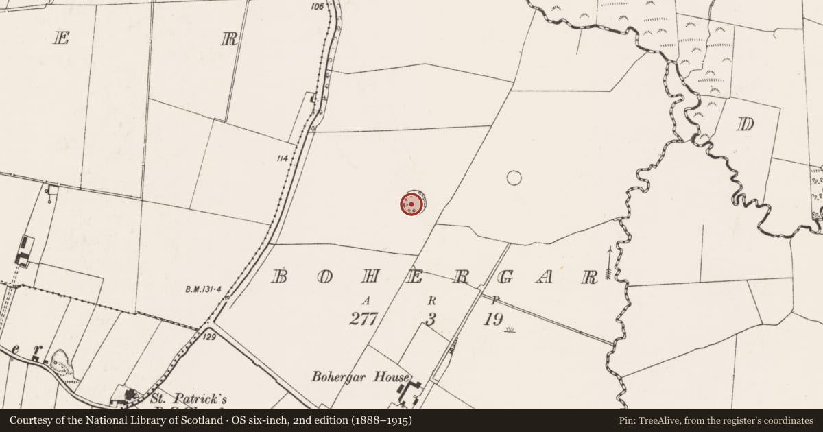 Ordnance Survey six-inch map, 2nd edition (1888–1915) covering the location of Enclosure, Bohergar, County Limerick, with a pin at the register's coordinates