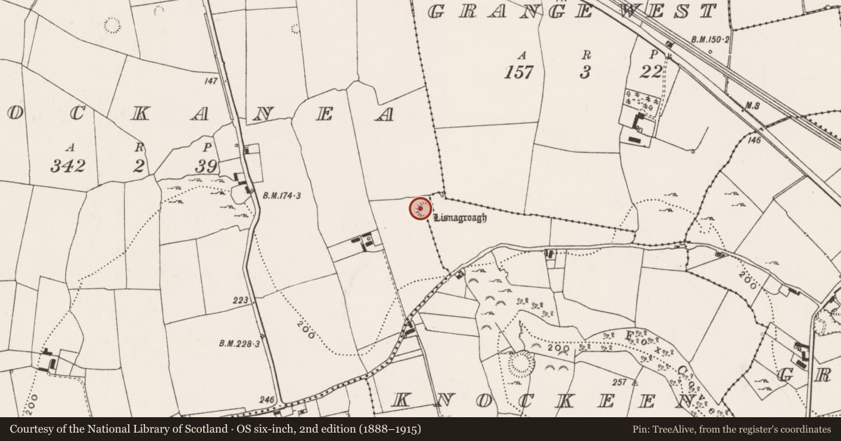 Ordnance Survey six-inch map, 2nd edition (1888–1915) covering the location of Ringfort - rath, Knockanea, County Limerick, with a pin at the register's coordinates