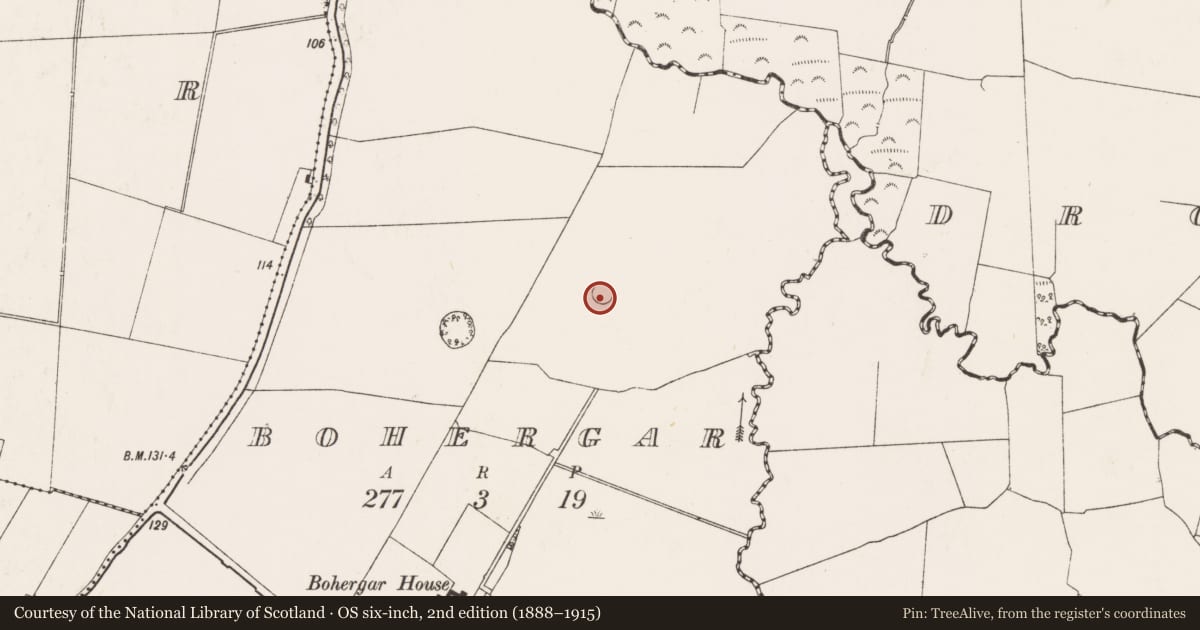 Ordnance Survey six-inch map, 2nd edition (1888–1915) covering the location of Enclosure, Bohergar, County Limerick, with a pin at the register's coordinates