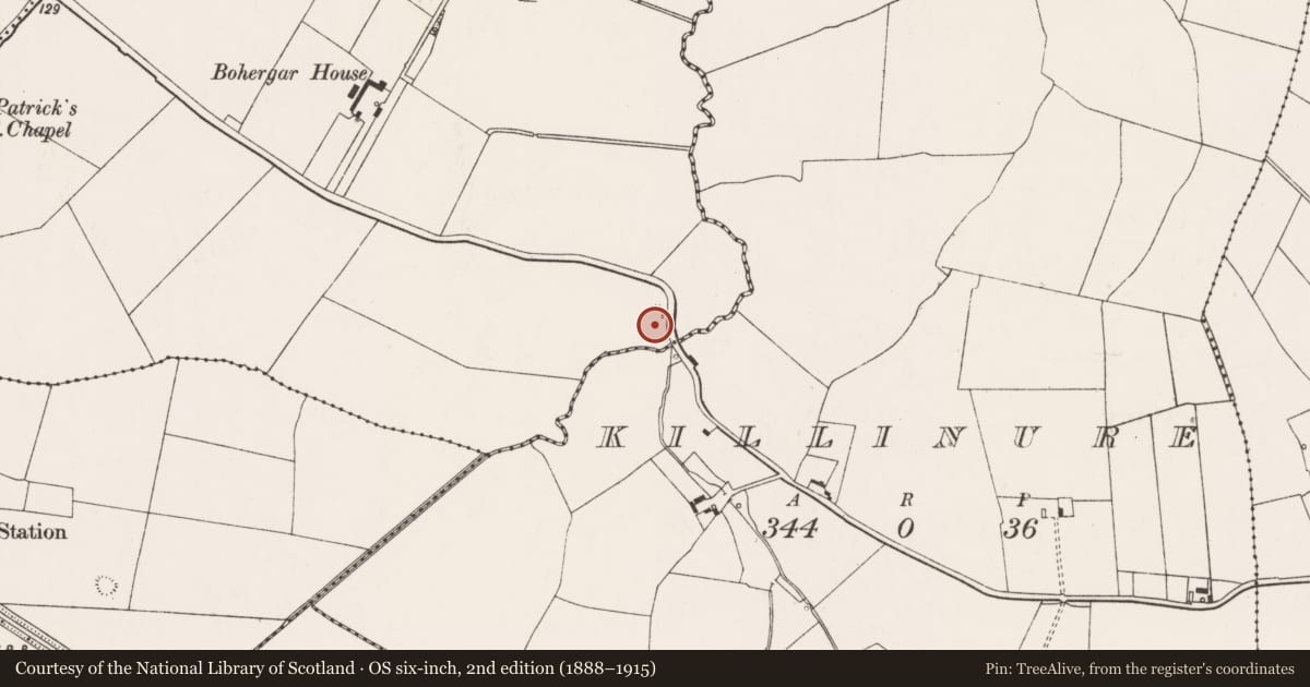 Ordnance Survey six-inch map, 2nd edition (1888–1915) covering the location of Enclosure, Bohergar, County Limerick, with a pin at the register's coordinates