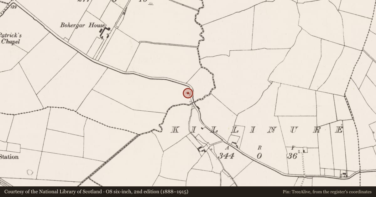 Ordnance Survey six-inch map, 2nd edition (1888–1915) covering the location of Ritual site - holy well, Bohergar, County Limerick, with a pin at the register's coordinates