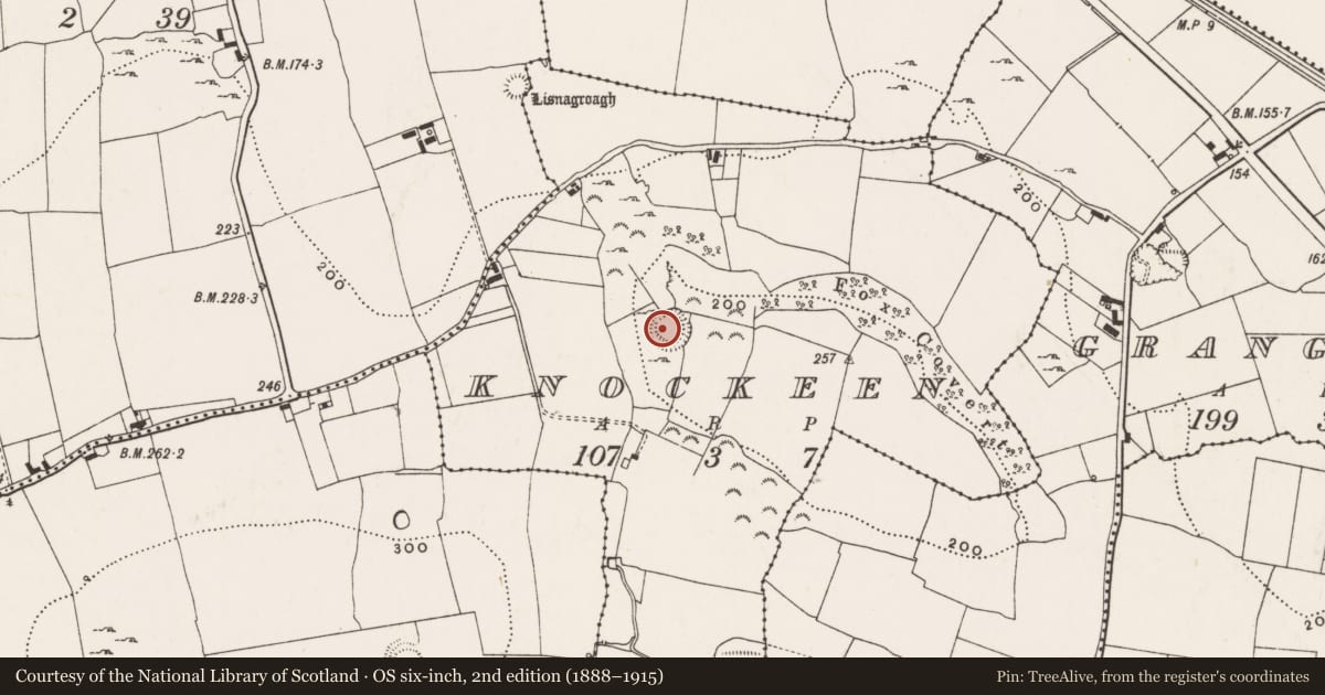 Ordnance Survey six-inch map, 2nd edition (1888–1915) covering the location of Ringfort - rath, Knockeen, County Limerick, with a pin at the register's coordinates