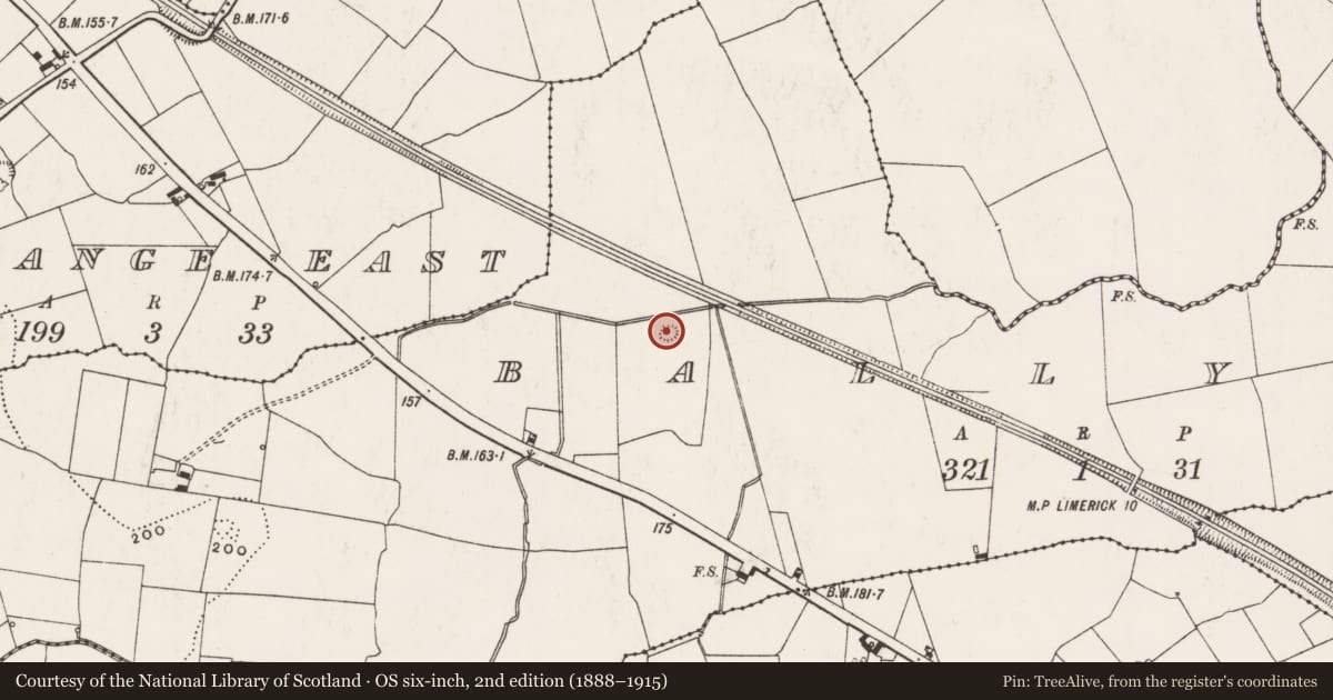 Ordnance Survey six-inch map, 2nd edition (1888–1915) covering the location of Ringfort - rath, Ballyart, County Limerick, with a pin at the register's coordinates