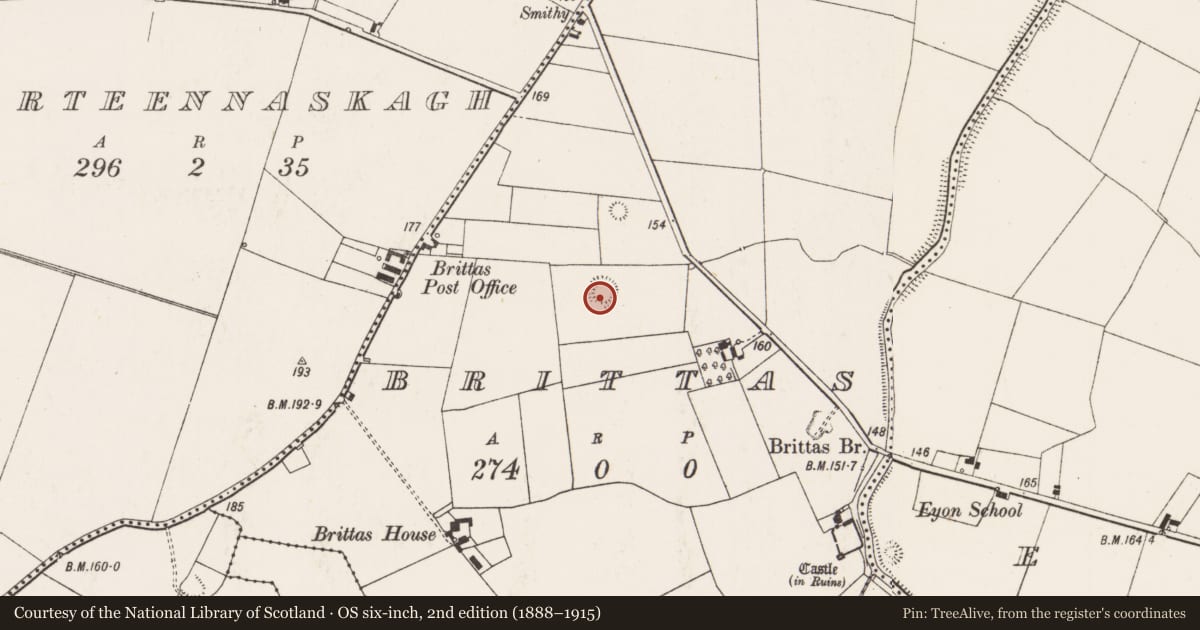 Ordnance Survey six-inch map, 2nd edition (1888–1915) covering the location of Ringfort - rath, Brittas, County Limerick, with a pin at the register's coordinates