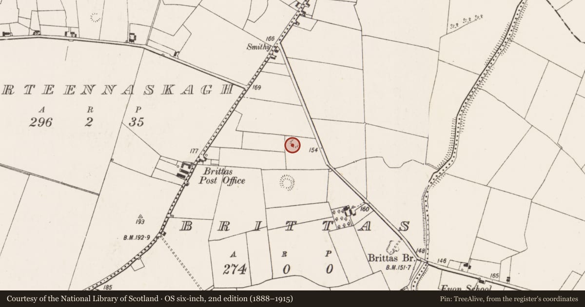 Ordnance Survey six-inch map, 2nd edition (1888–1915) covering the location of Ringfort - rath, Brittas, County Limerick, with a pin at the register's coordinates