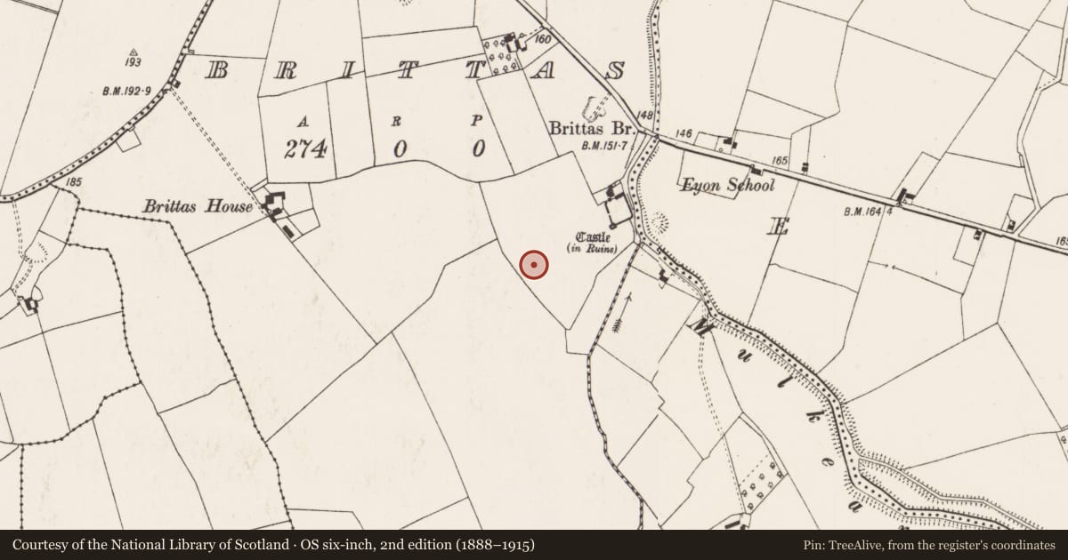 Ordnance Survey six-inch map, 2nd edition (1888–1915) covering the location of Castle - motte and bailey, Brittas, County Limerick, with a pin at the register's coordinates
