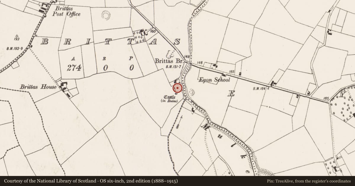 Ordnance Survey six-inch map, 2nd edition (1888–1915) covering the location of Castle - Anglo-Norman masonry castle, Brittas, County Limerick, with a pin at the register's coordinates