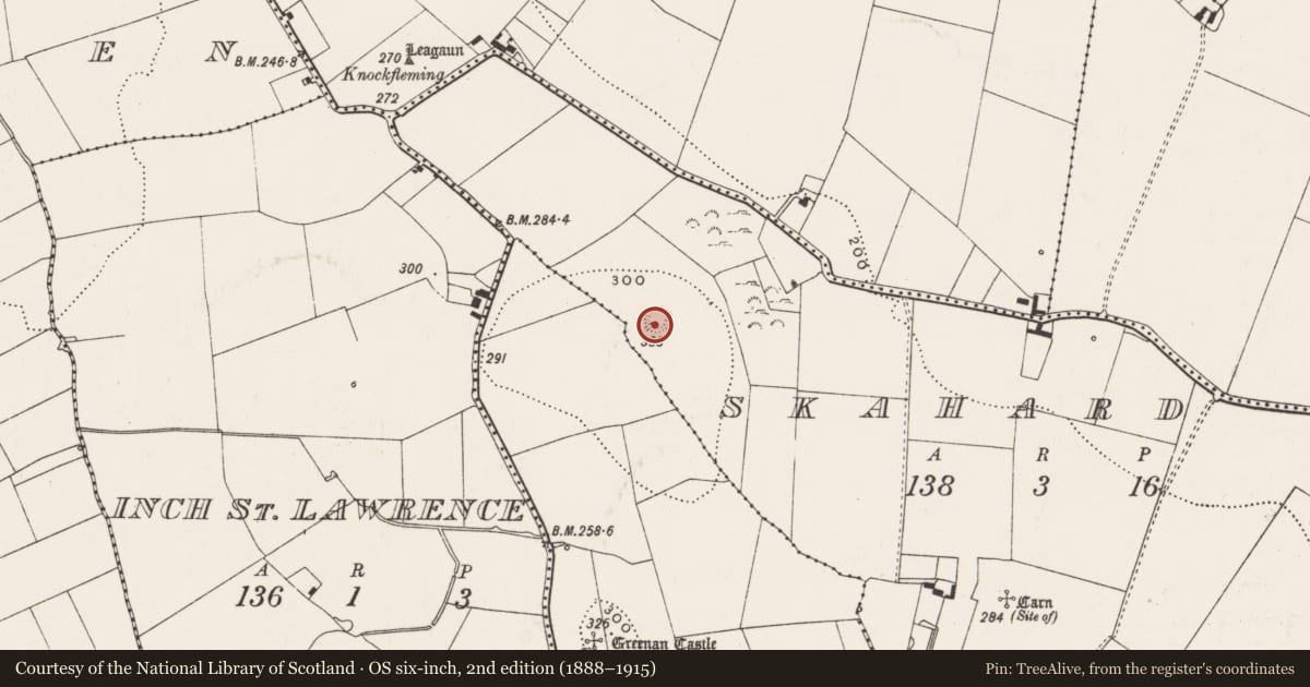Ordnance Survey six-inch map, 2nd edition (1888–1915) covering the location of Ringfort - rath, Skahard, County Limerick, with a pin at the register's coordinates