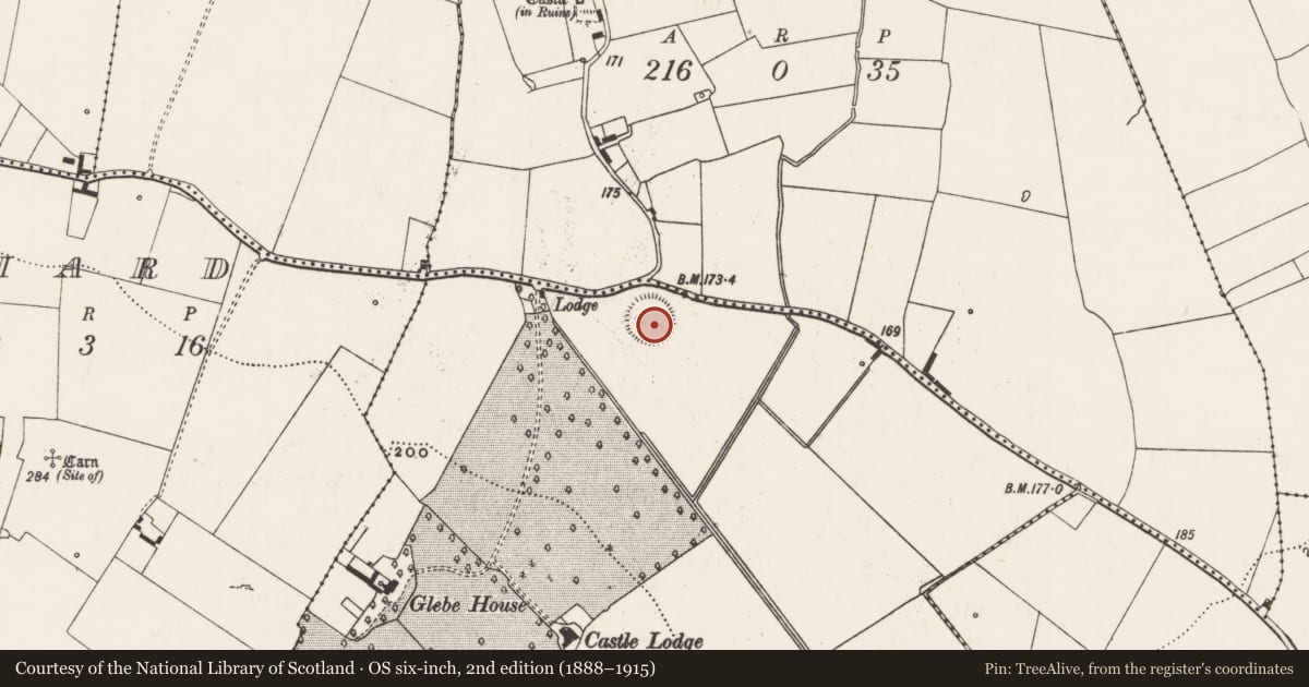 Ordnance Survey six-inch map, 2nd edition (1888–1915) covering the location of Ringfort - rath, Pust North, County Limerick, with a pin at the register's coordinates