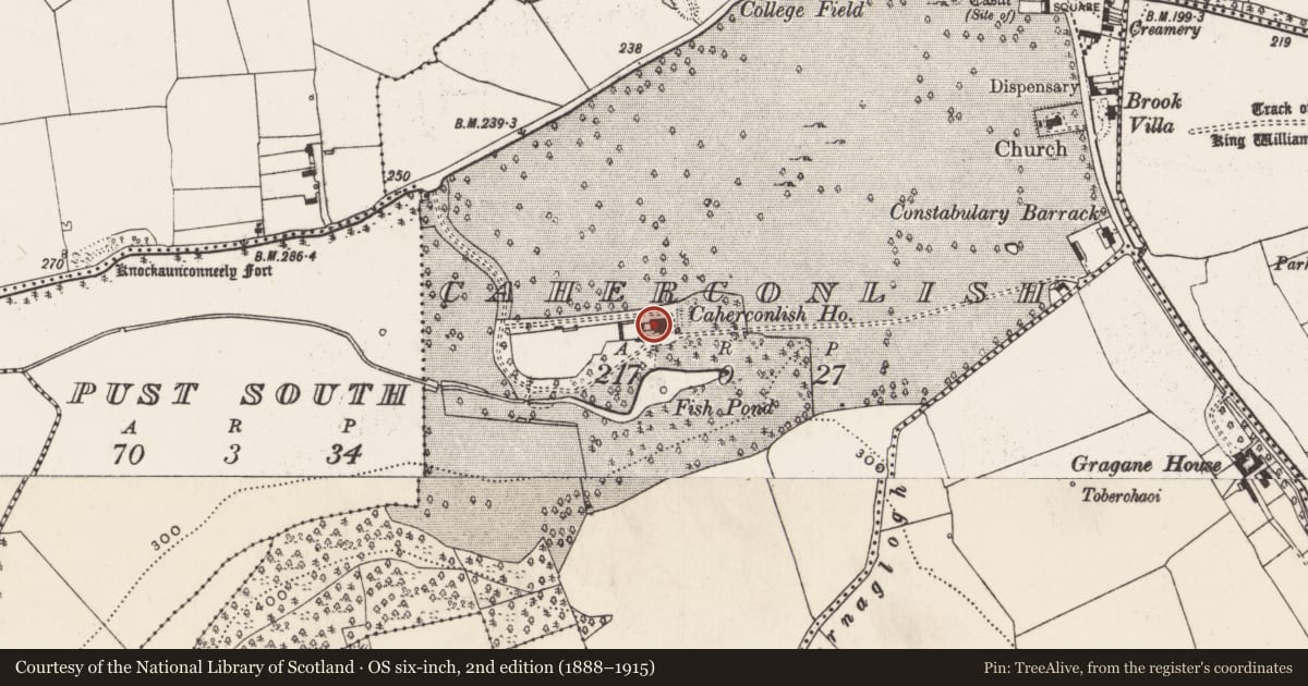 Ordnance Survey six-inch map, 2nd edition (1888–1915) covering the location of Castle - tower house, Caherconlish, County Limerick, with a pin at the register's coordinates