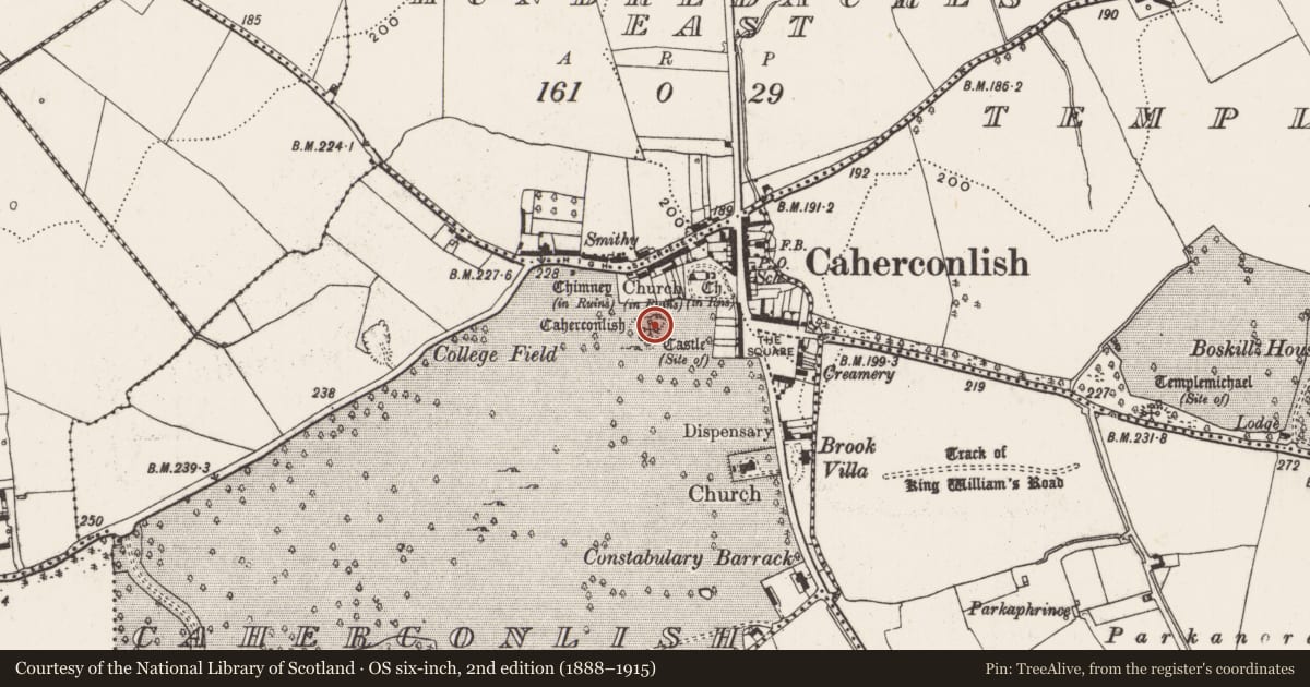 Ordnance Survey six-inch map, 2nd edition (1888–1915) covering the location of Castle - ringwork, Caherconlish, County Limerick, with a pin at the register's coordinates