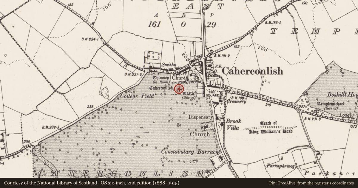 Ordnance Survey six-inch map, 2nd edition (1888–1915) covering the location of Castle - tower house, Caherconlish, County Limerick, with a pin at the register's coordinates
