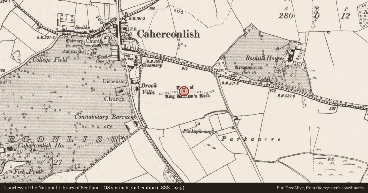 Ordnance Survey six-inch map, 2nd edition (1888–1915) covering the location of Road - road/trackway, Boskill, County Limerick, with a pin at the register's coordinates