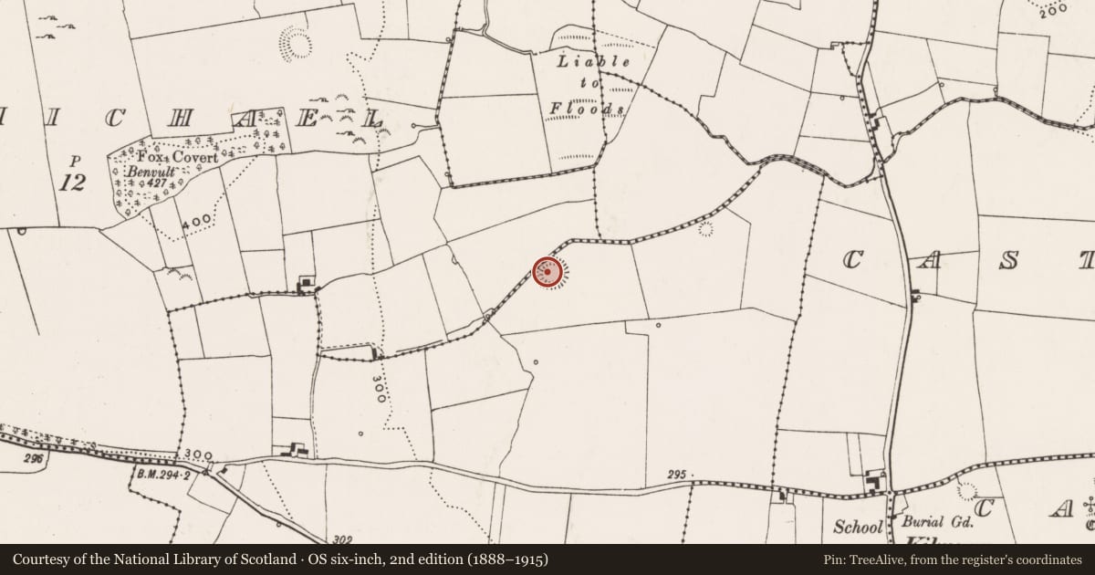Ordnance Survey six-inch map, 2nd edition (1888–1915) covering the location of Ringfort - rath, Greenane, County Limerick, with a pin at the register's coordinates
