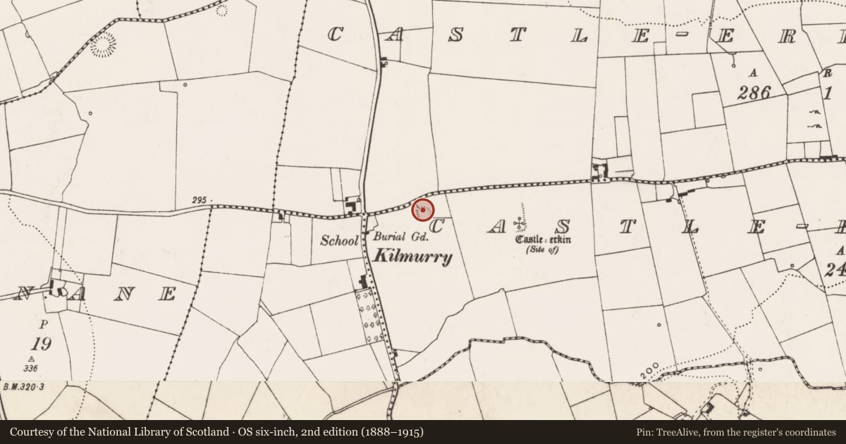 Ordnance Survey six-inch map, 2nd edition (1888–1915) covering the location of Enclosure, Castle-Erkin South, County Limerick, with a pin at the register's coordinates