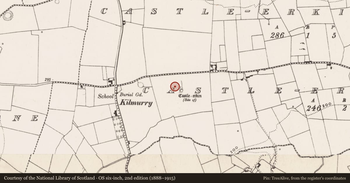 Ordnance Survey six-inch map, 2nd edition (1888–1915) covering the location of Bawn, Castle-Erkin South, County Limerick, with a pin at the register's coordinates