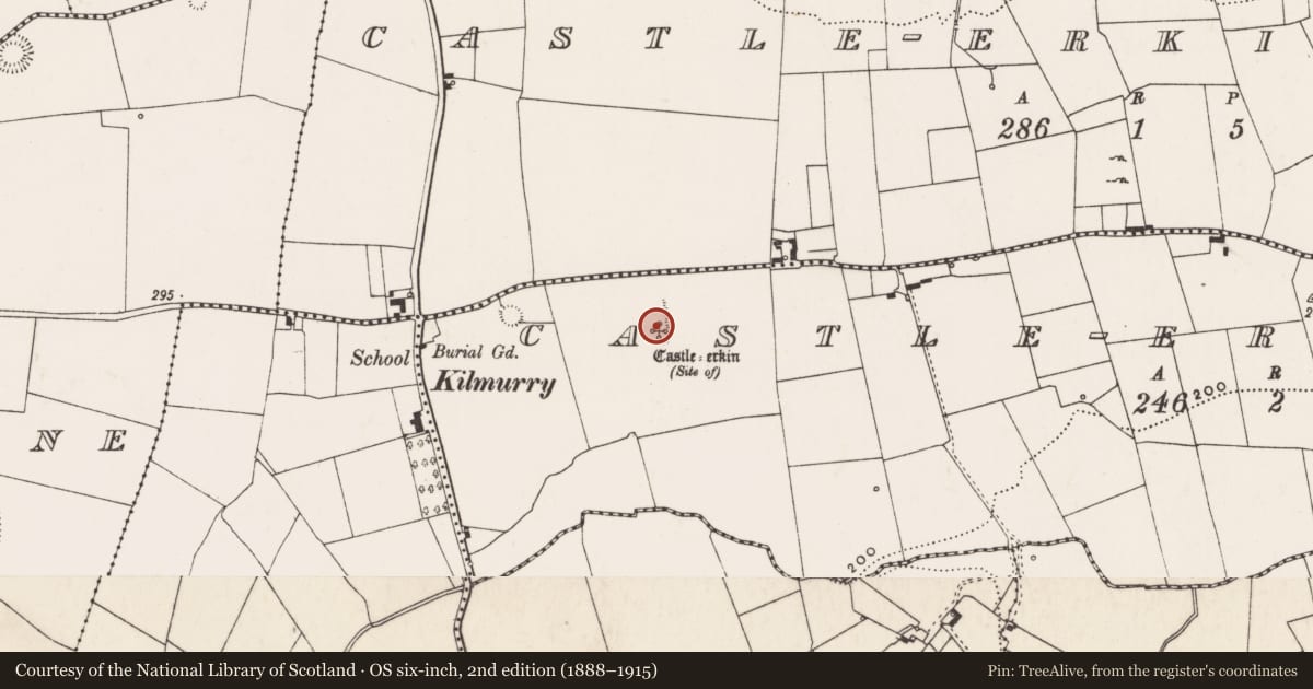 Ordnance Survey six-inch map, 2nd edition (1888–1915) covering the location of Castle - unclassified, Castle-Erkin South, County Limerick, with a pin at the register's coordinates