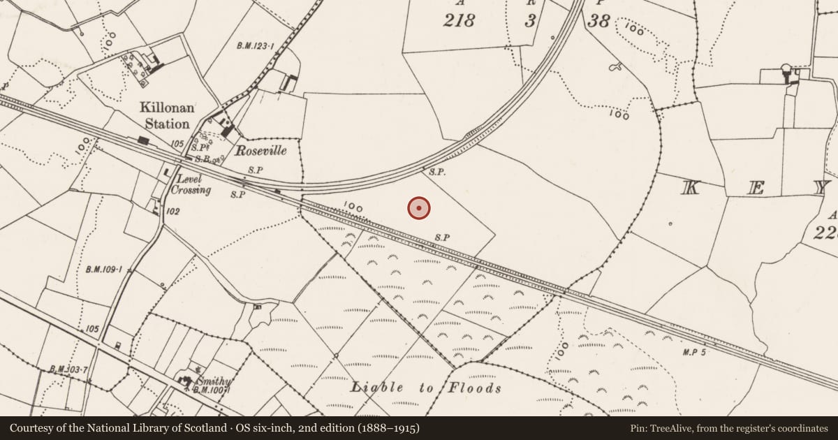 Ordnance Survey six-inch map, 2nd edition (1888–1915) covering the location of Ringfort - rath, Killonan, County Limerick, with a pin at the register's coordinates