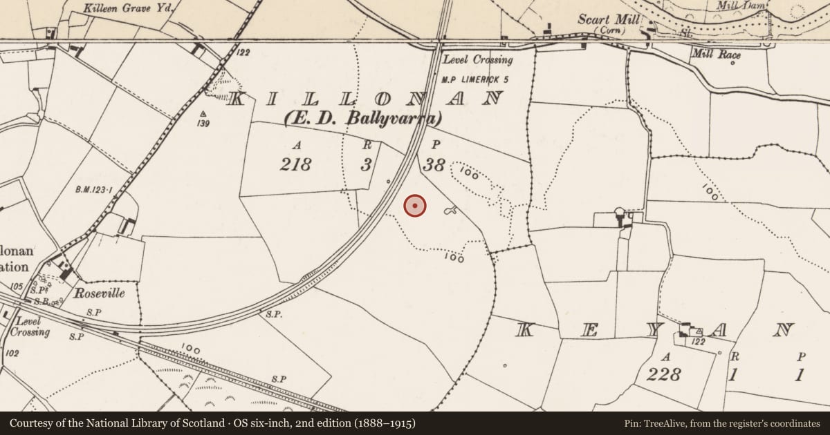 Ordnance Survey six-inch map, 2nd edition (1888–1915) covering the location of Ringfort - rath, Killonan, County Limerick, with a pin at the register's coordinates