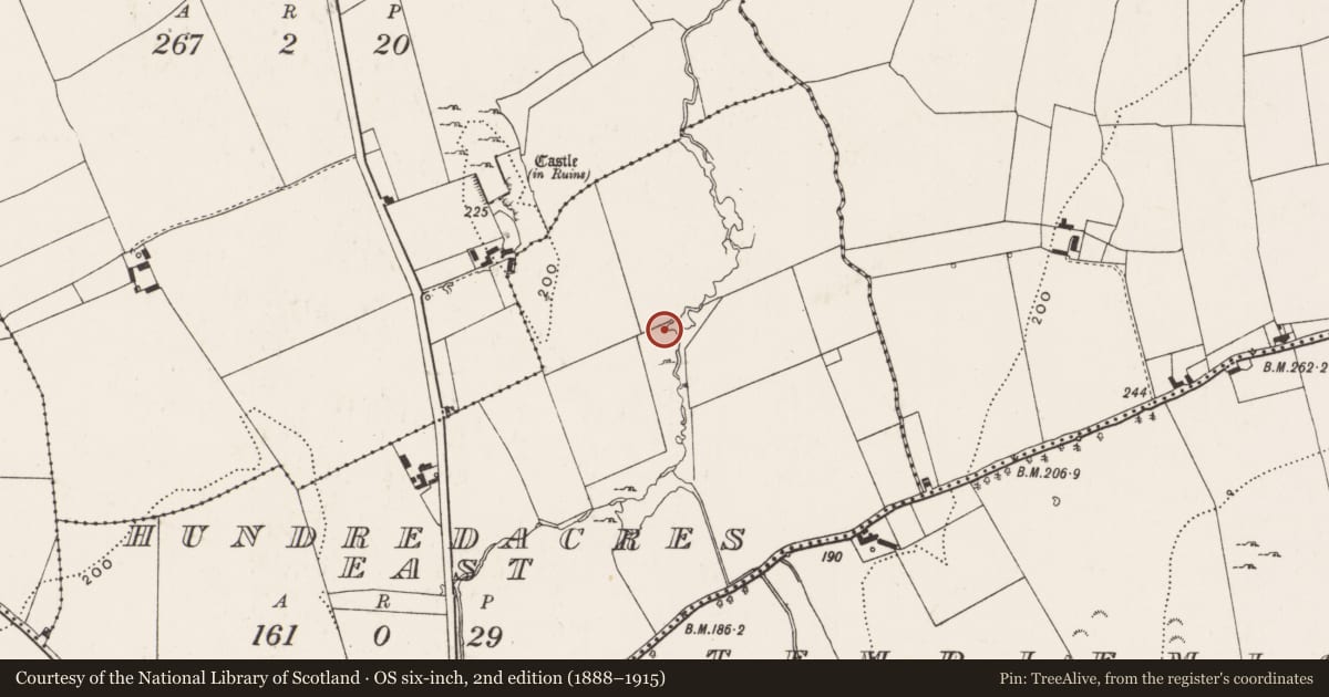 Ordnance Survey six-inch map, 2nd edition (1888–1915) covering the location of Water mill - unclassified, Hundredacres East, County Limerick, with a pin at the register's coordinates