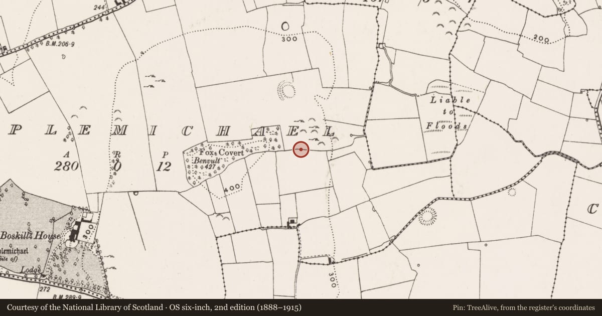 Ordnance Survey six-inch map, 2nd edition (1888–1915) covering the location of Ritual site - holy well, Templemichael, County Limerick, with a pin at the register's coordinates