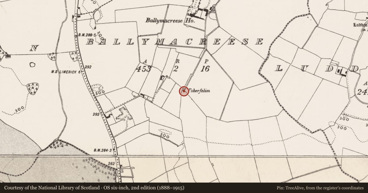 Ordnance Survey six-inch map, 2nd edition (1888–1915) covering the location of Well, Ballymacreese, County Limerick, with a pin at the register's coordinates
