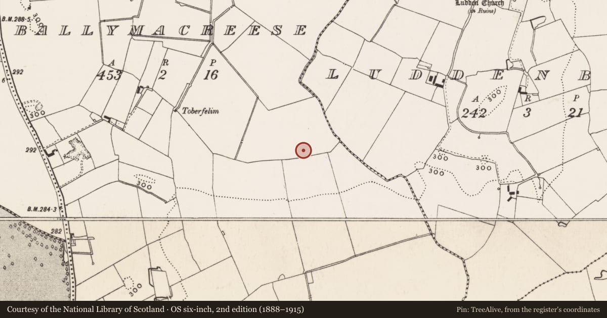 Ordnance Survey six-inch map, 2nd edition (1888–1915) covering the location of Enclosure, Ballymacreese, County Limerick, with a pin at the register's coordinates