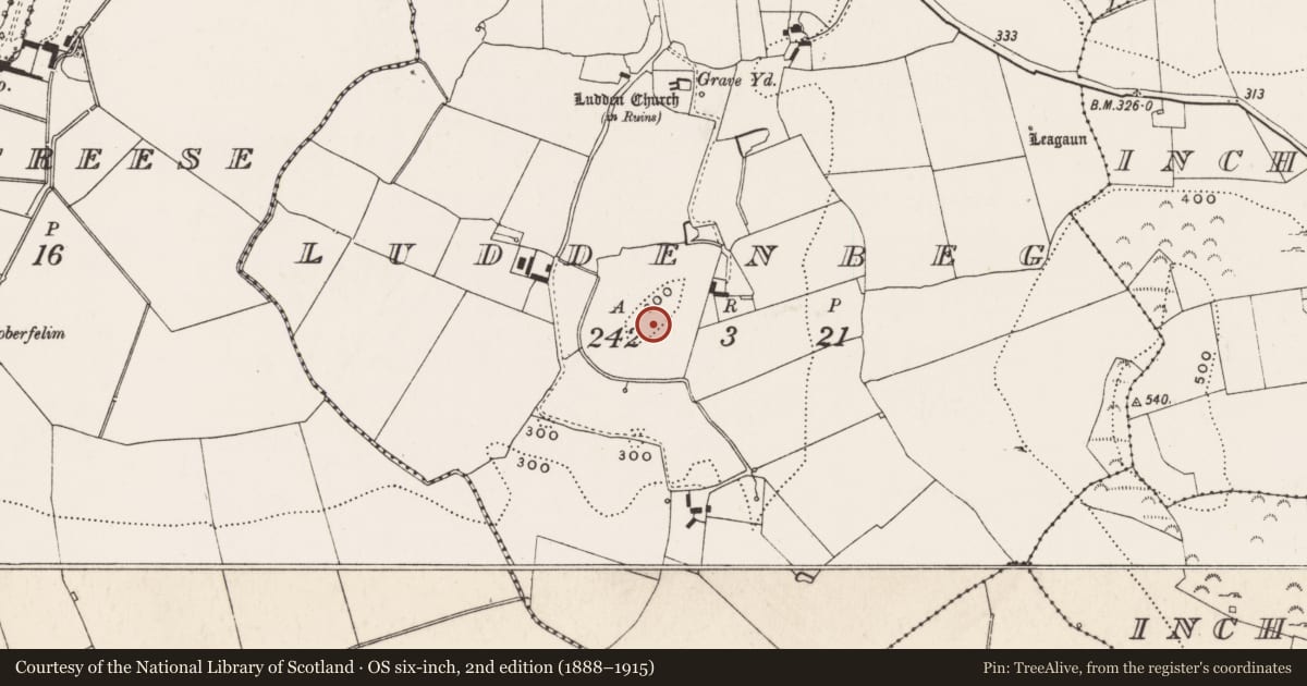 Ordnance Survey six-inch map, 2nd edition (1888–1915) covering the location of Barrow - unclassified, Ludden Beg, County Limerick, with a pin at the register's coordinates