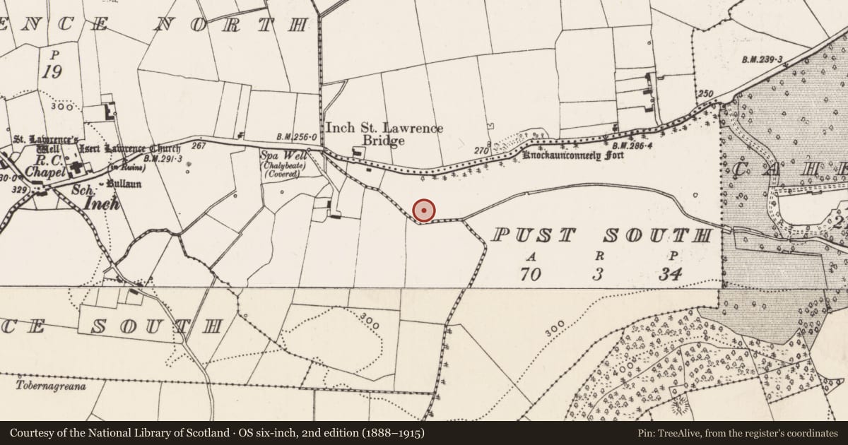 Ordnance Survey six-inch map, 2nd edition (1888–1915) covering the location of Enclosure, Pust South, County Limerick, with a pin at the register's coordinates