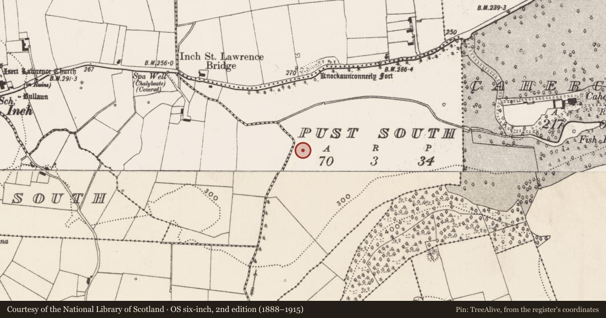 Ordnance Survey six-inch map, 2nd edition (1888–1915) covering the location of Ringfort - rath, Pust South, County Limerick, with a pin at the register's coordinates