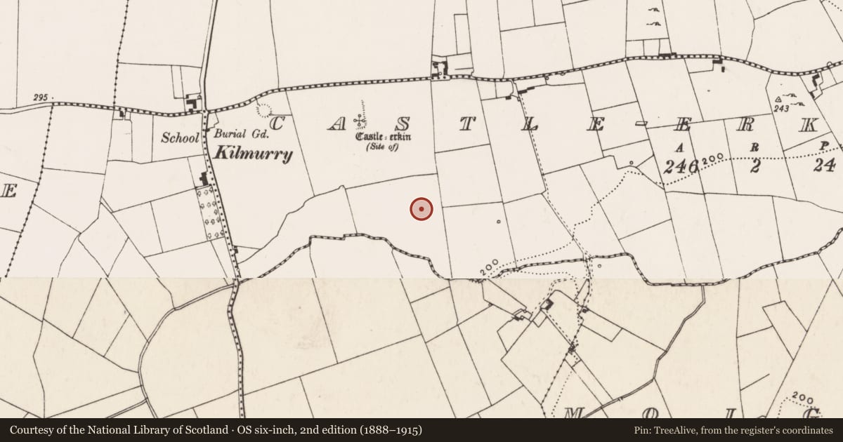 Ordnance Survey six-inch map, 2nd edition (1888–1915) covering the location of Barrow - ring-barrow, Castle-Erkin South, County Limerick, with a pin at the register's coordinates