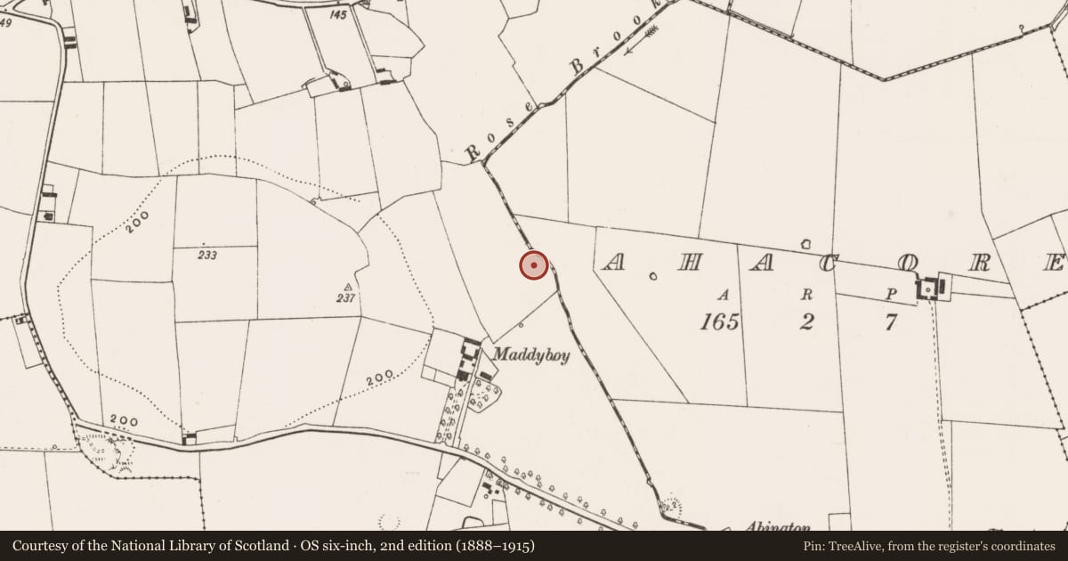Ordnance Survey six-inch map, 2nd edition (1888–1915) covering the location of Fulacht fia, Maddyboy, County Limerick, with a pin at the register's coordinates